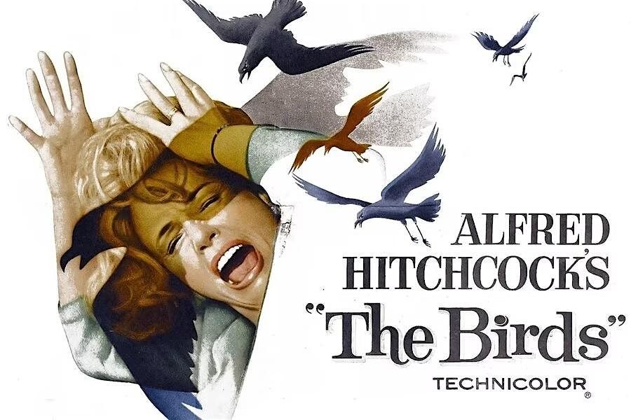 8/23 - Hitchcock's Summer of Suspense Series: The Birds, 23 August | Event in Eureka | AllEvents