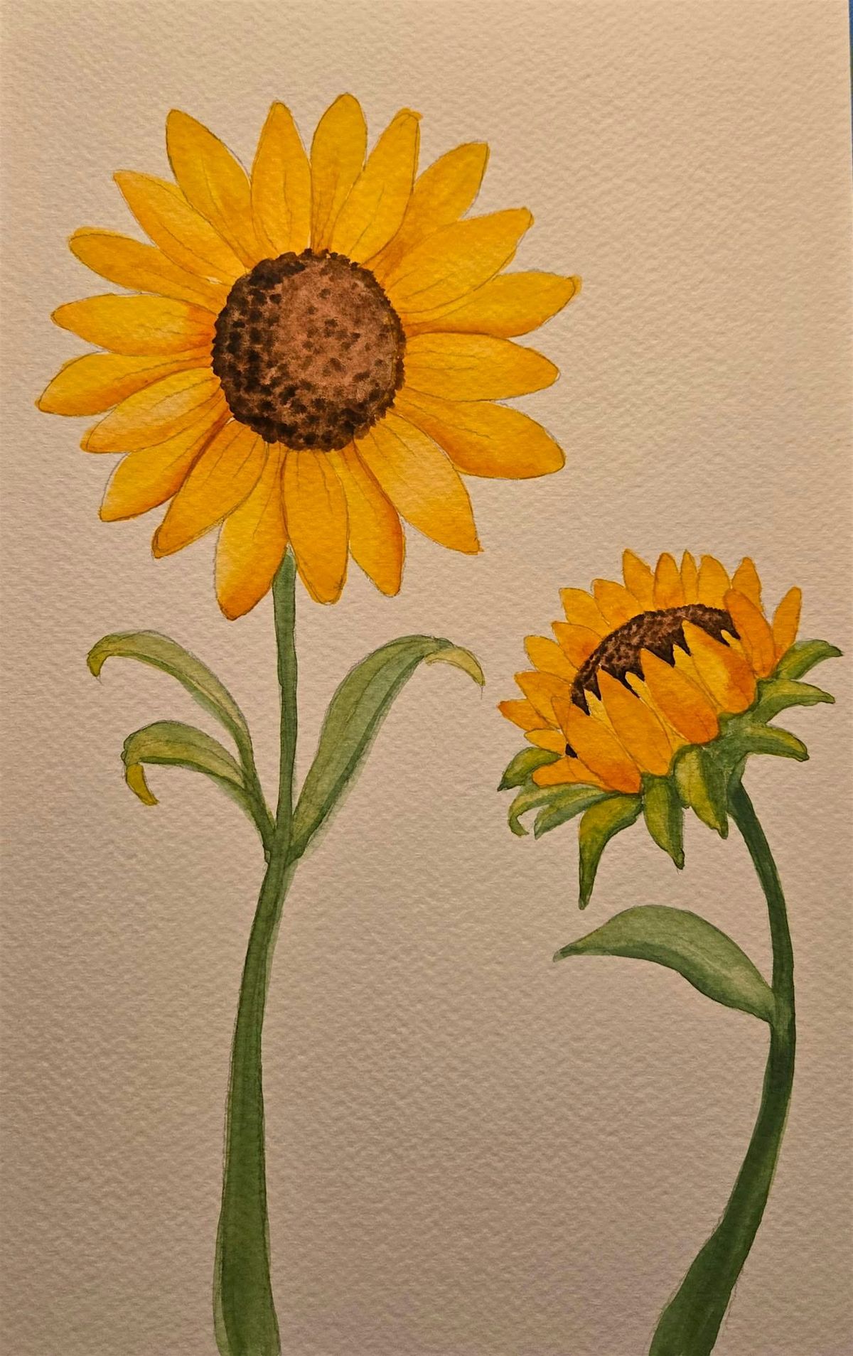 Sunflower Watercolor Painting Class, 15 October | Event in Ormond Beach | AllEvents
