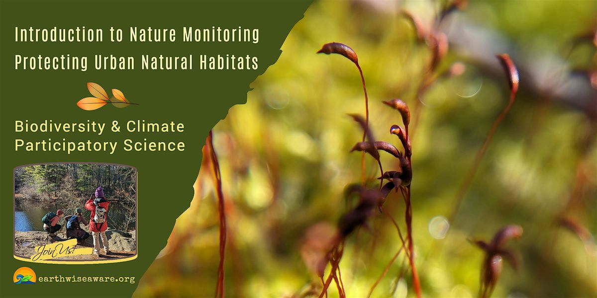 Introduction to Nature Monitoring in the City, 13 December | Event in Somerville | AllEvents