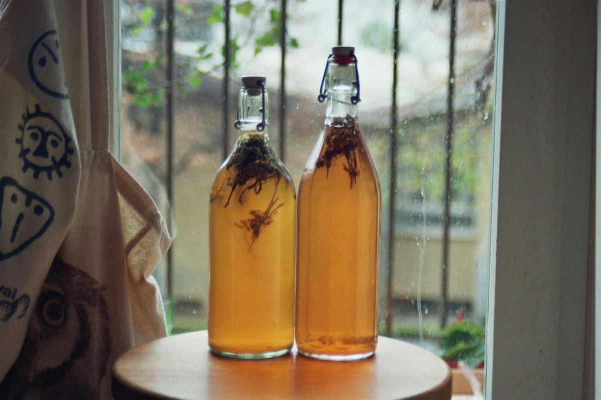 Kombucha, laboratorio di fermentazione del the, 24 May | Event in Milano | AllEvents