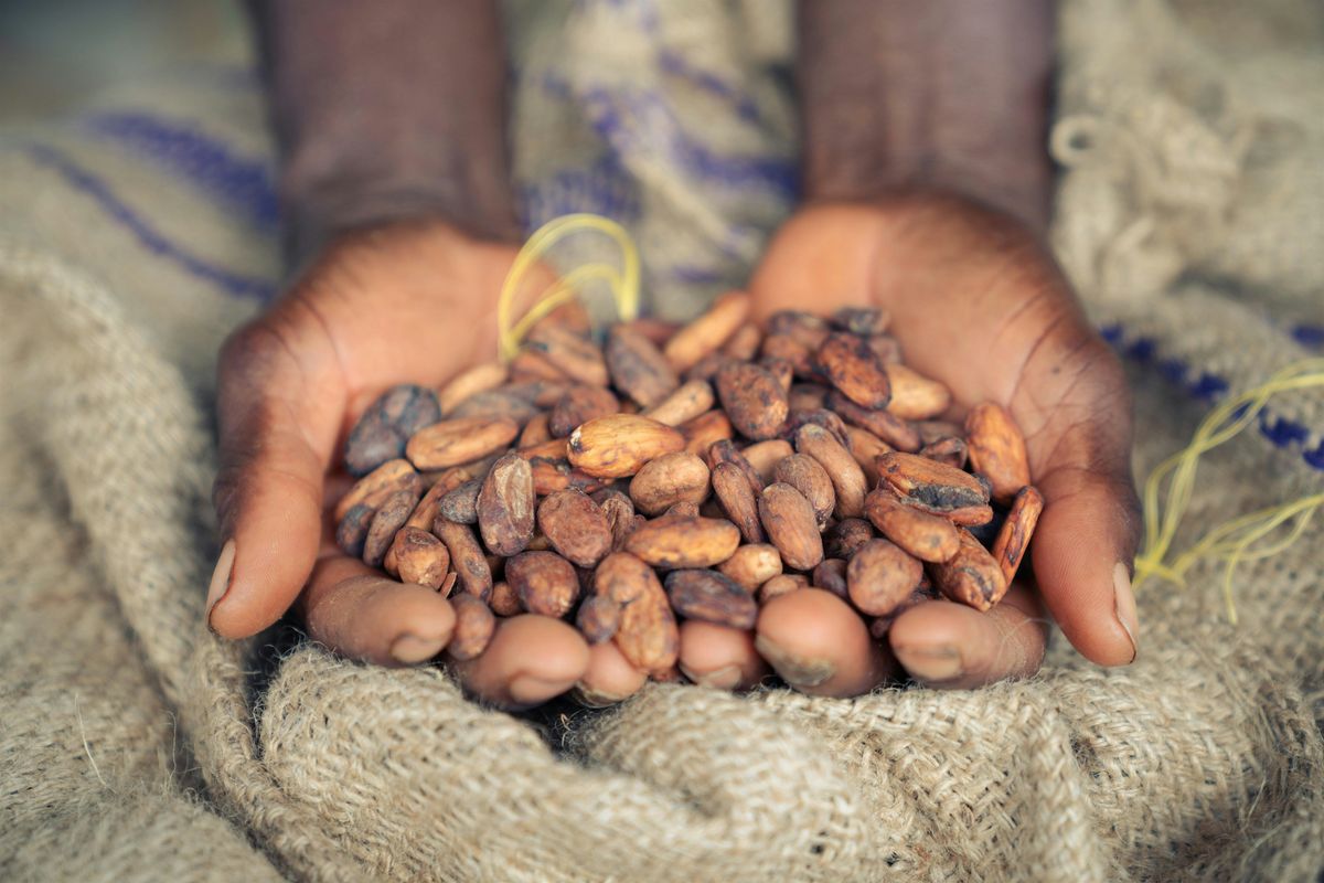 Biodiversity and Livelihoods: A Shared Investment in the Future