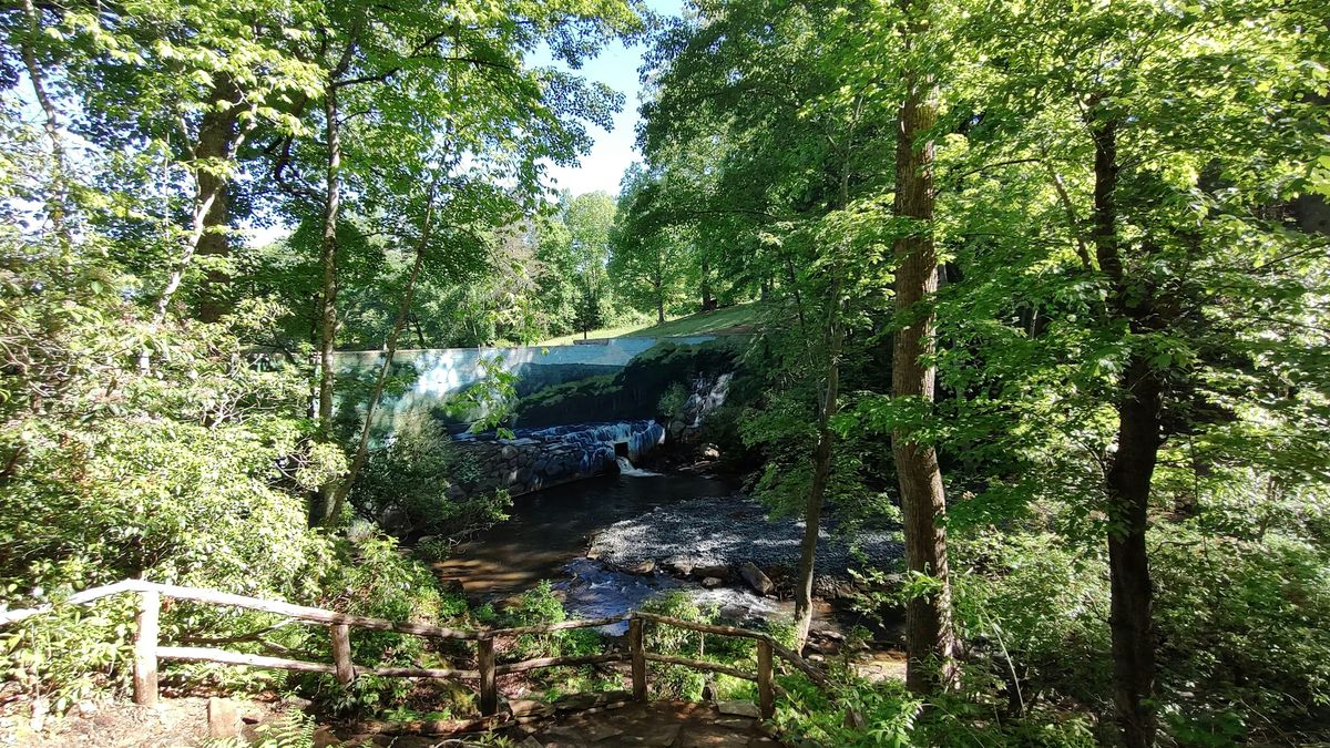 MEDITATION: Forest Bathing Hike and Dam Mural Observation, 7 June | Event in State Road | AllEvents