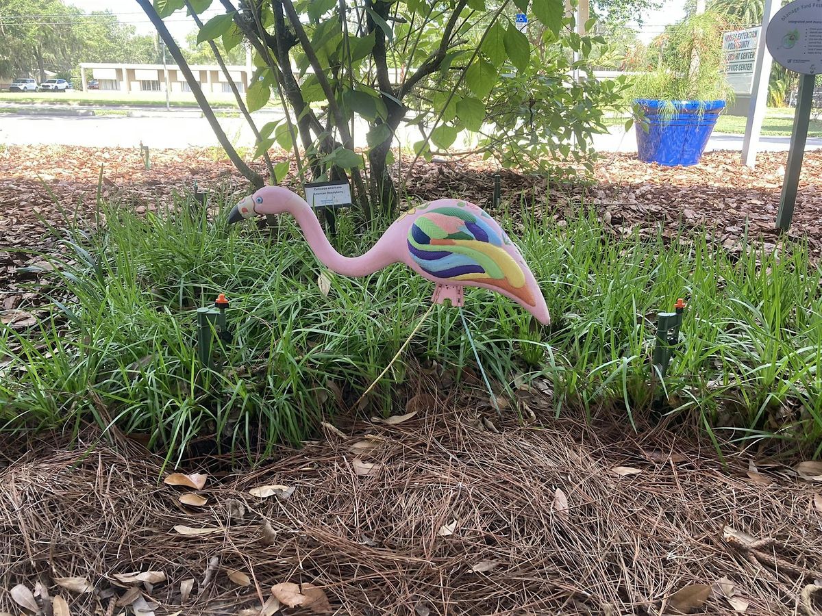 Lunch & Learn: Smart Landscape Design for Florida-Friendly Living, 19 August | Event in Haines City | AllEvents