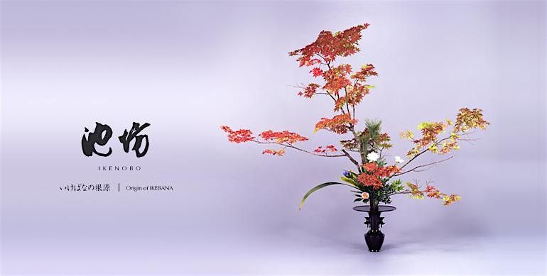 Invitation to Ikenobo Ikebana - Continuing Classes in Boulder CO (Nov), 9 November | Event in Boulder | AllEvents
