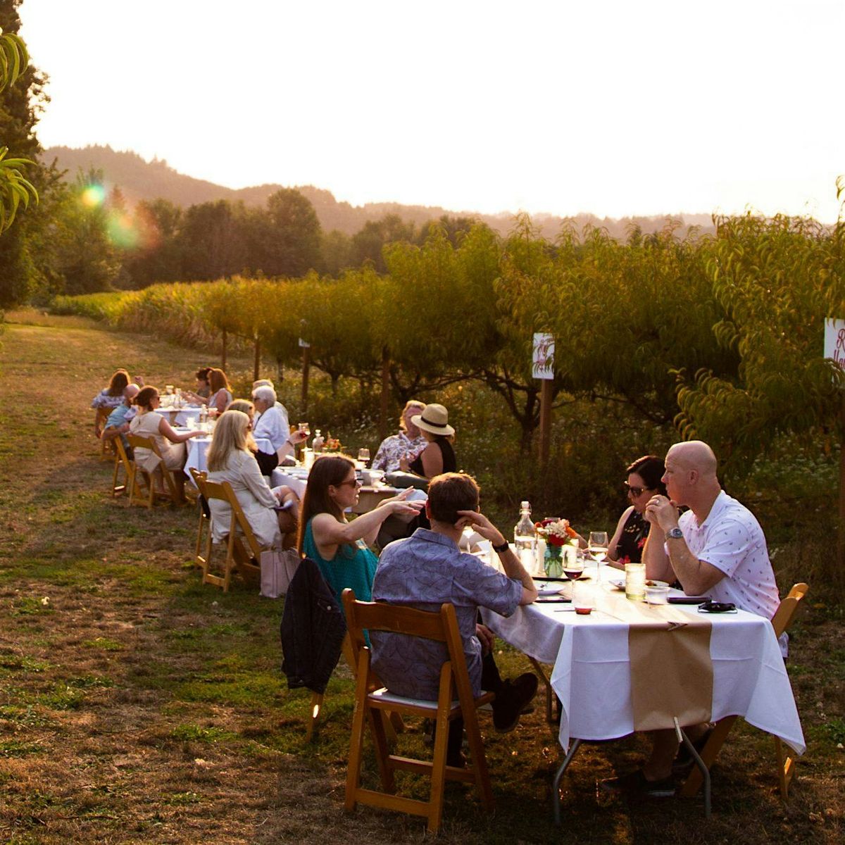 Dinner in the Field at Douglas Farm w/ ROCO Winery and Double Circle Spirit, 29 August | Event in Portland