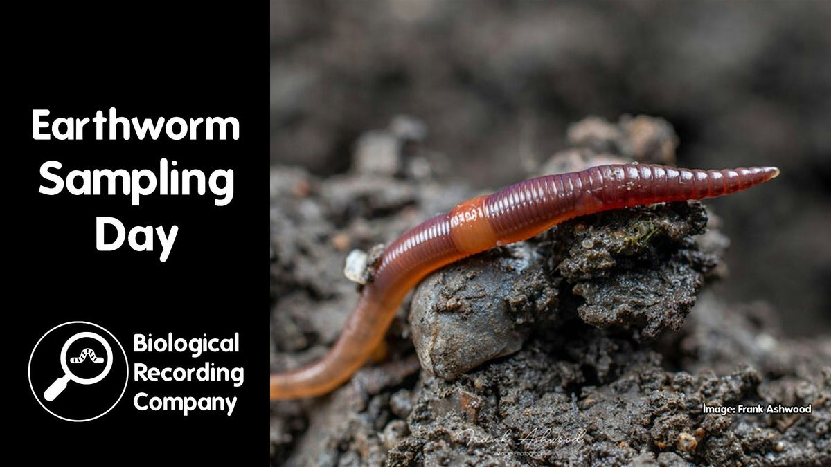 Earthworm Sampling Day, 1 April | Event in London | AllEvents