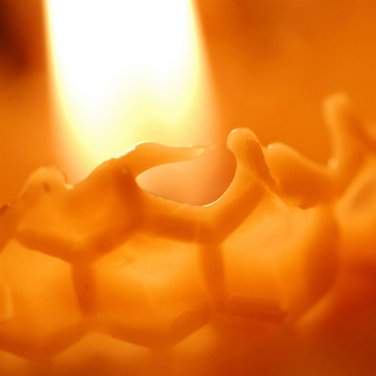 Beeswax Candle Making Workshop, 28 July | Event in Toronto | AllEvents