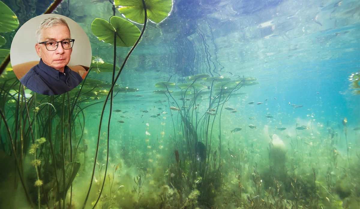 Beyond the Sea: The Hidden Life in Lakes, Streams, and Wetlands|virtual, 13 June | Event in Millbrook | AllEvents