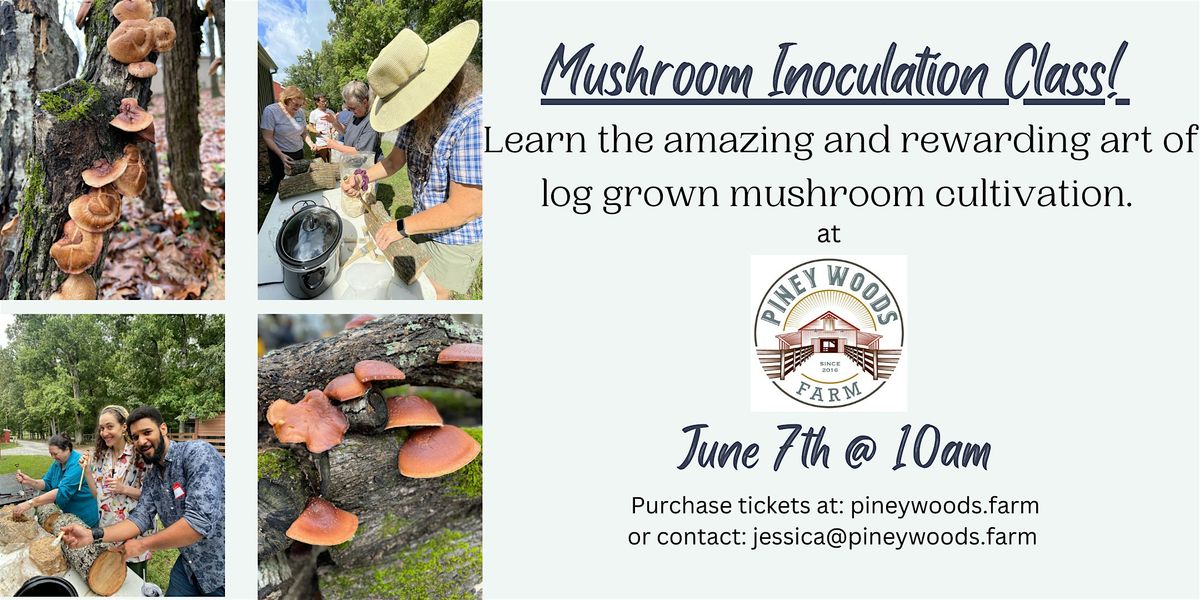 Mushroom Inoculation Class!, 7 June | Event in LaGrange | AllEvents