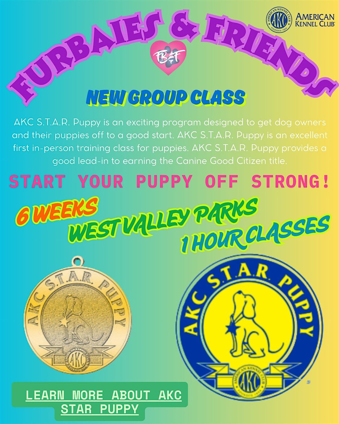 American Kennel Club K9 Good Citizen Class Near Me American Kennel