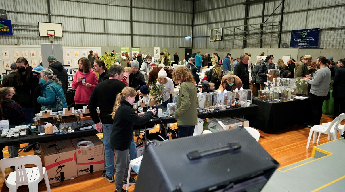 Insect Stadium 2025 NATIONAL ENTOMOLOGY INSECT EXPO, Woodend Buffalo Sports Stadium, 3 ...
