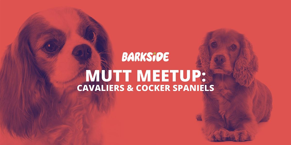 Mutt Meetup: Cavaliers & Cocker Spaniels, 17 August | Event in Detroit | AllEvents