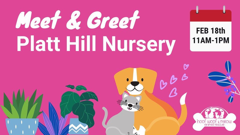 Meet Our Adoptables at Platt Hill Nursery!, Platt Hill Nursery