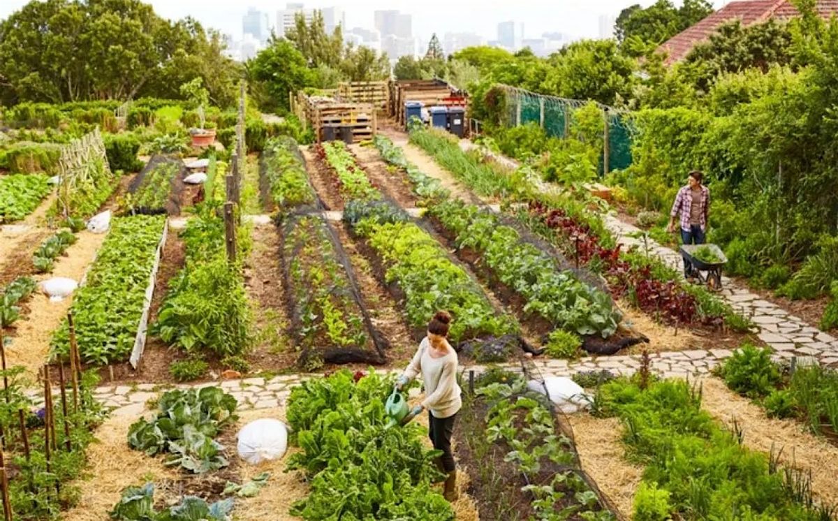Building a right-of-way community garden in Vancouver, 21 June | Event in Vancouver | AllEvents