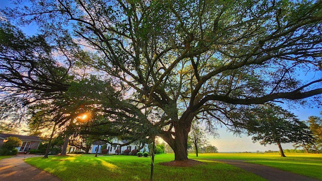 One day Yoga Retreat at Mistletoe in Tallahassee, FL, 7 June | Event in Thomasville | AllEvents