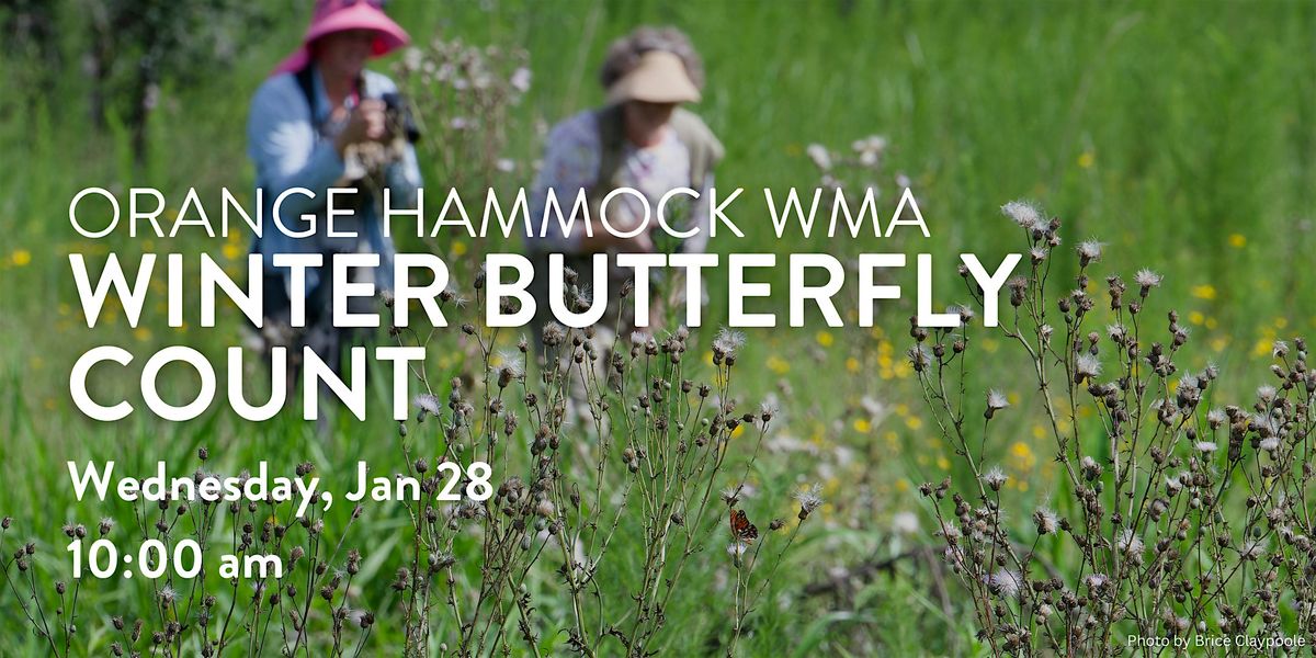 Orange Hammock Winter Butterfly Count