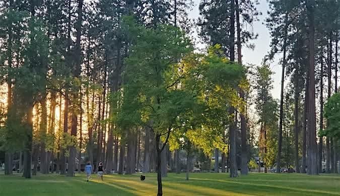 Fun in the Sun @ Audubon Park, 16 August | Event in Spokane | AllEvents