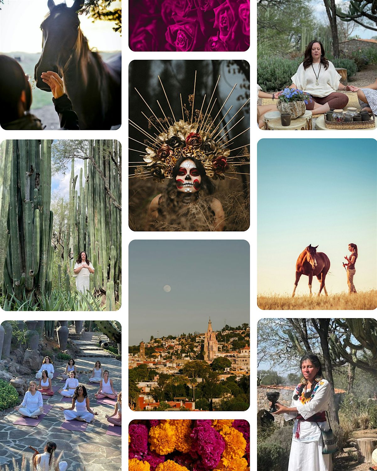 Wild Wisdom Retreat in San Miguel de Allende, 23 October | Event in San Miguel de Allende | AllEvents