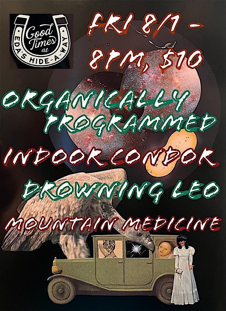 Organically Programmed, Indoor Condor, Drowning Leo, Mountain Medicine, 1 August | Event in Weaverville | AllEvents