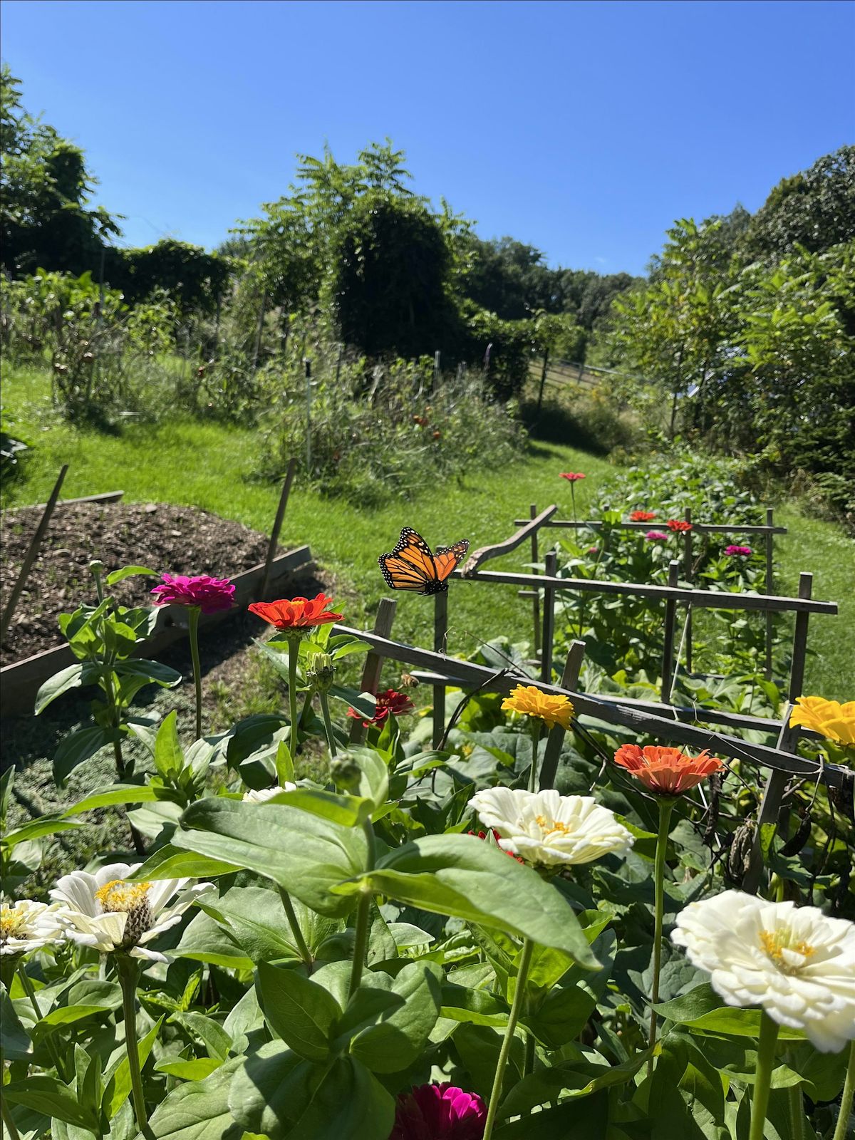 Cuvilly Open House, 31 May | Event in Ipswich | AllEvents