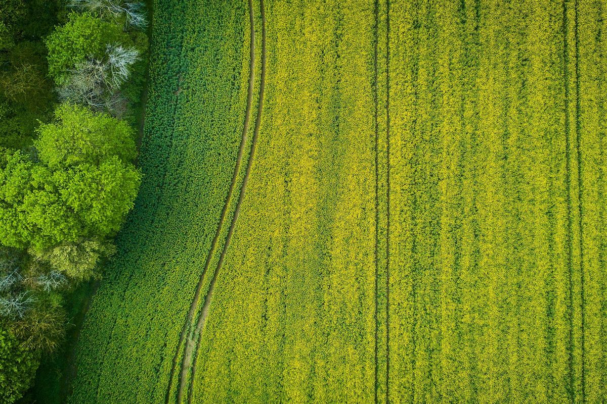 Von 0 auf Spring AI, 8 October | Event in Paderborn | AllEvents
