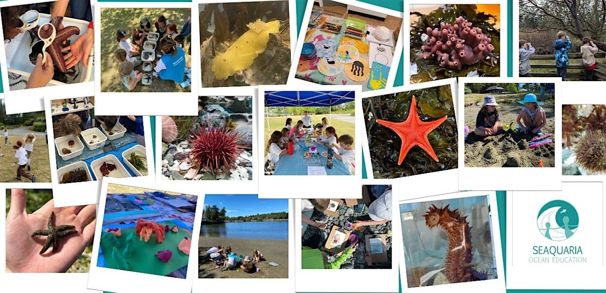 Scientists on the Shore Summer Camp, 15 July | Event in Victoria | AllEvents