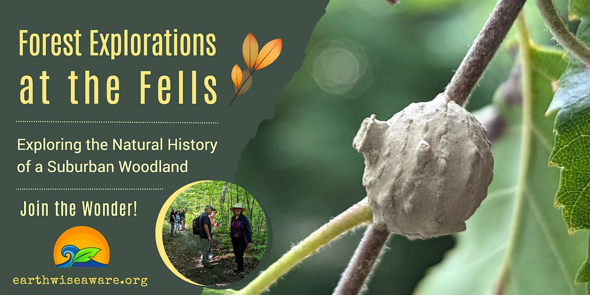 Summer Forest Explorations, 9 August | Event in Medford | AllEvents