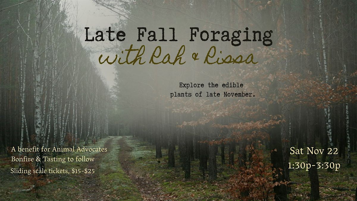Late Fall Foraging With Rah & Rissa, 22 November | Event in Hanover | AllEvents
