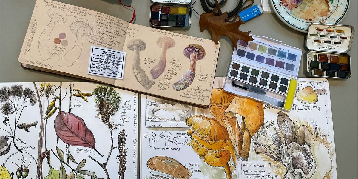 The Mushroom Forager's Sketchbook, 13 September | Event in Devon | AllEvents