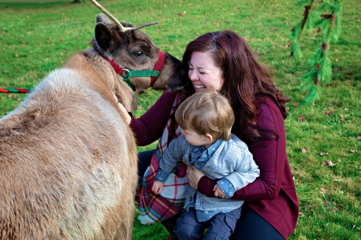 Reindeer Encounter, 28 November | Event in Buckley | AllEvents