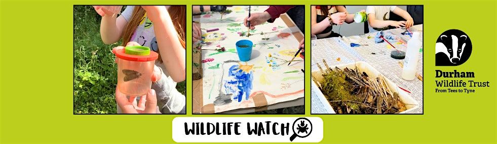 Wildlife Watch at Low Barns, 19 October | Event in Frosterley | AllEvents