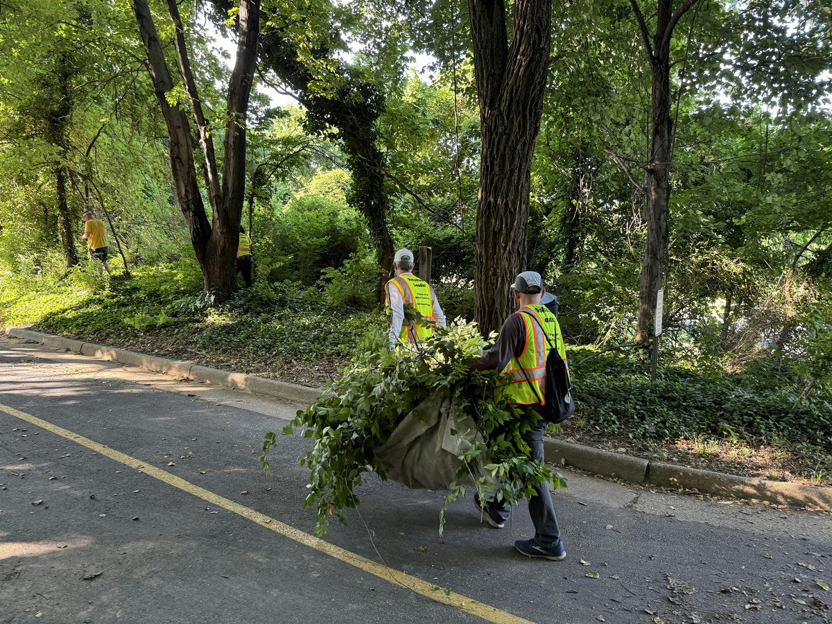 Vegetation Trimming and Sightline Improvement near Marina Towers, 6 September | Event in Alexandria | AllEvents