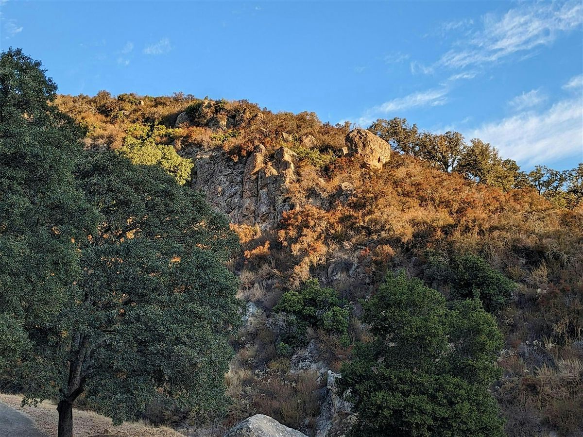 Guided Hike - Walnut Creeks Breathtaking Shell Ridge Open Space, 180 ...