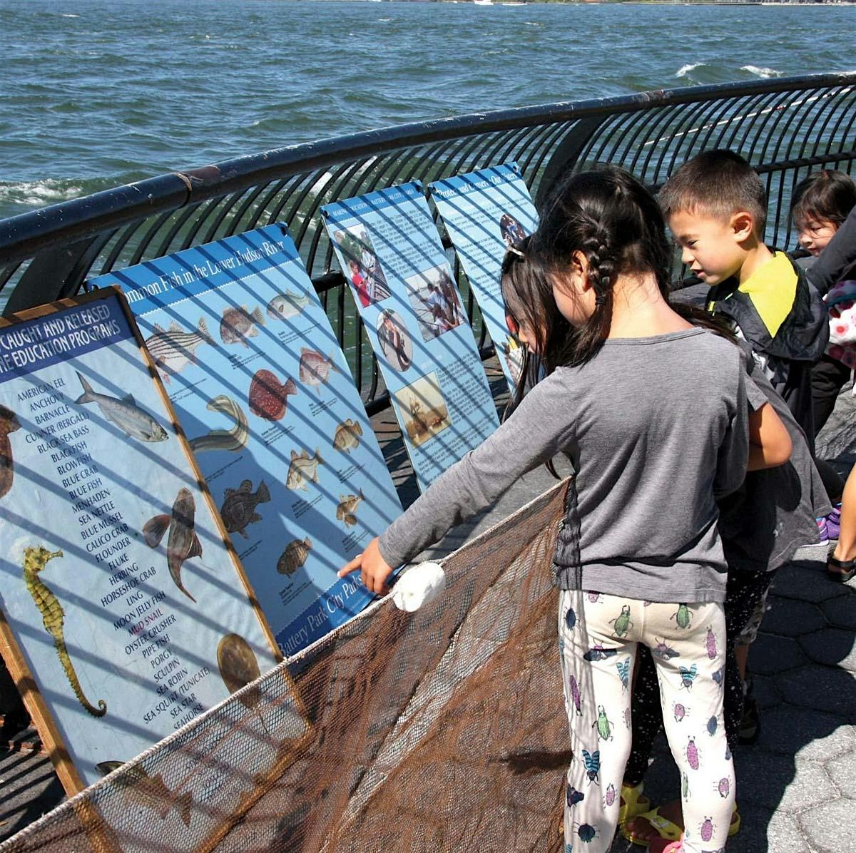 GO FISH!, 4 October | Event in New York | AllEvents