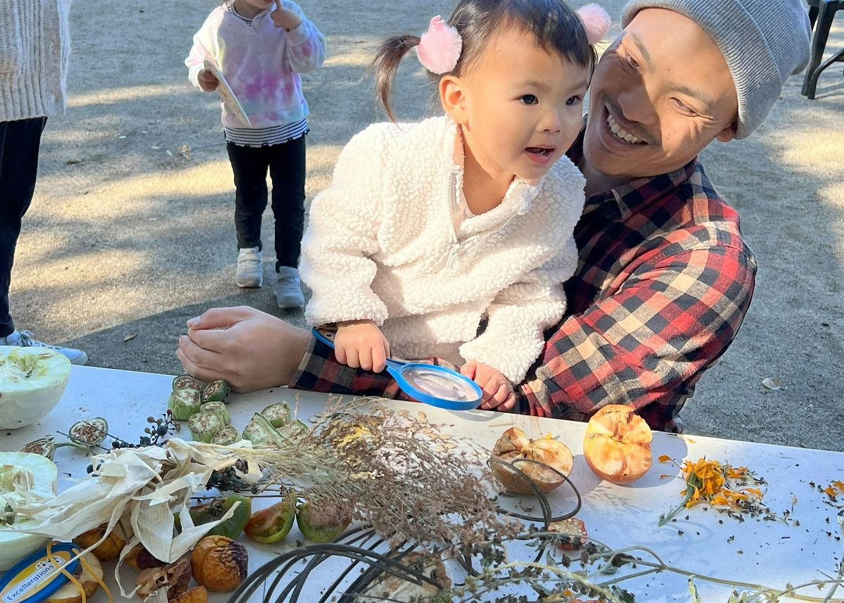 November Second Saturday: Saving Seeds & Indigenous History, 8 November | Event in Palo Alto | AllEvents