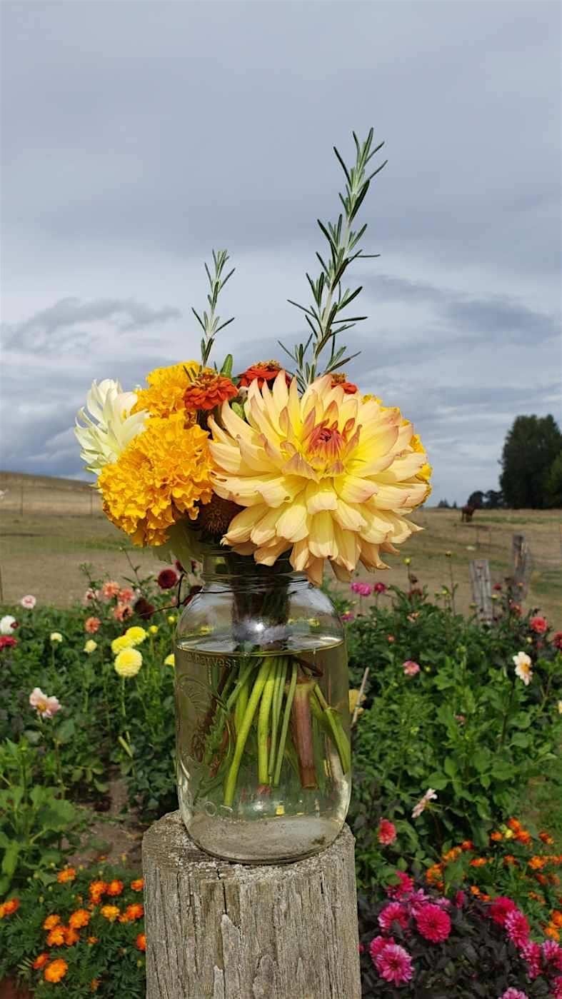 Dahlia Arrangement Workshop, 23 August | Event in Amity | AllEvents