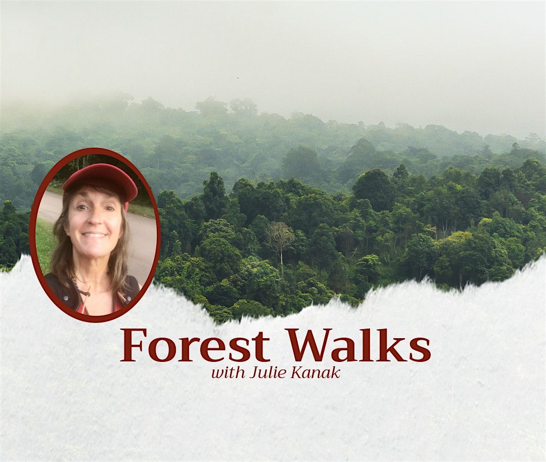 Forest Walks with Julie Kanak | Event in Marengo | AllEvents