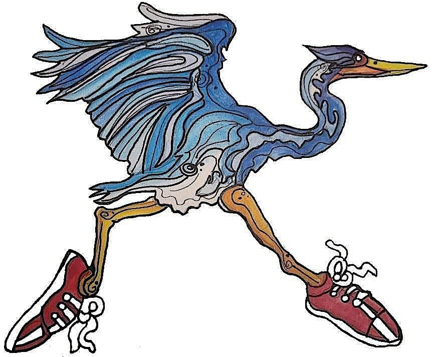 Heron Trot, 1 November | Event in Pensacola | AllEvents