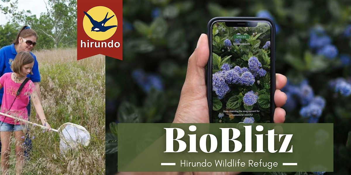 August BioBlitz, 9 August | Event in Old Town | AllEvents
