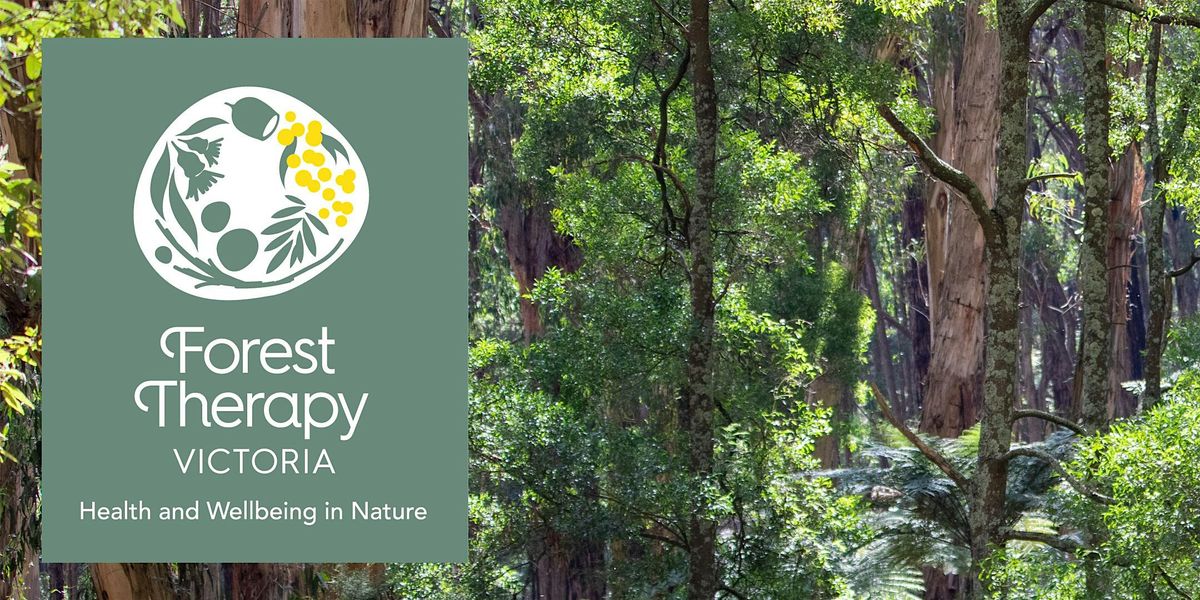 Using Forest Therapy in Your Counselling Practice, 8 December | Event in Croydon Hills | AllEvents