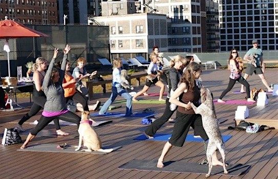 Office Yoga and Meditation San Francisco | Event in San Francisco | AllEvents