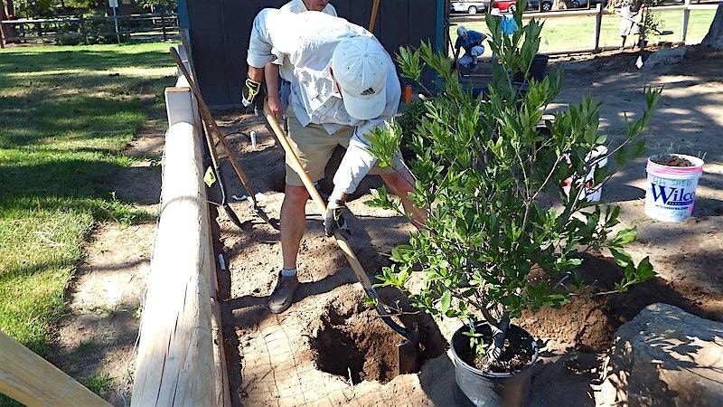 Preparing, Planting and Transplanting Native Plants So They Thrive, 10 May | Event in Bend | AllEvents