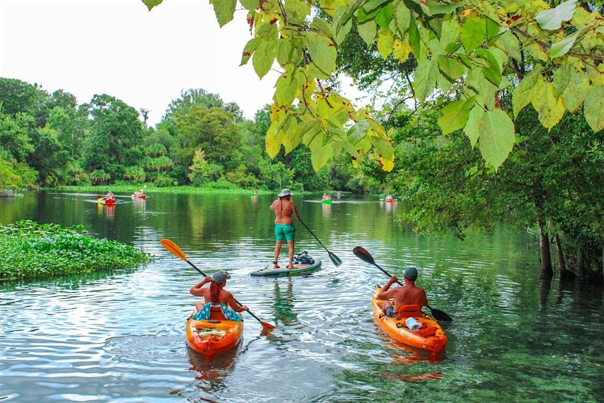 Wekiva River Paddle Meetup, 23 August | Event in Apopka | AllEvents