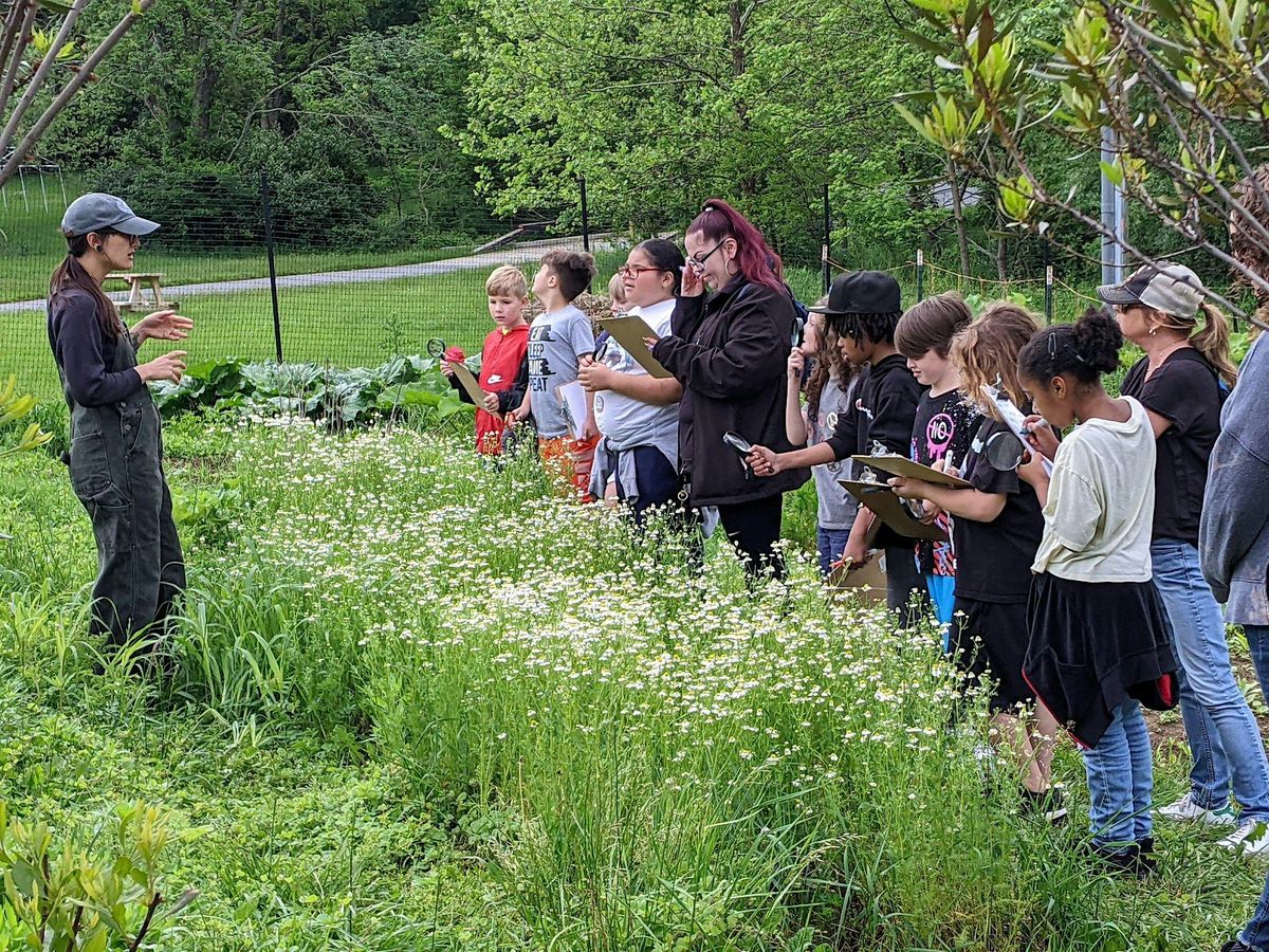 FREE Intergenerational Herb Garden Tour & Tea Tasting with Ashley Hoffman, 6 September | Event in Jefferson