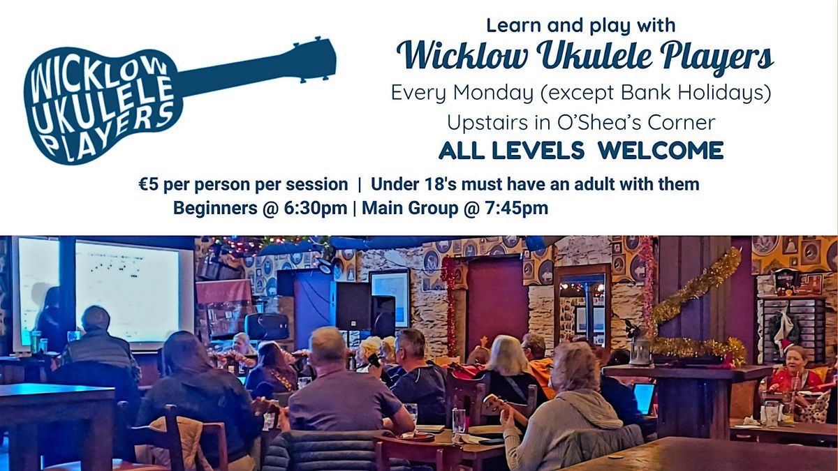 Wicklow Ukulele Lessons | Event in Wicklow | AllEvents