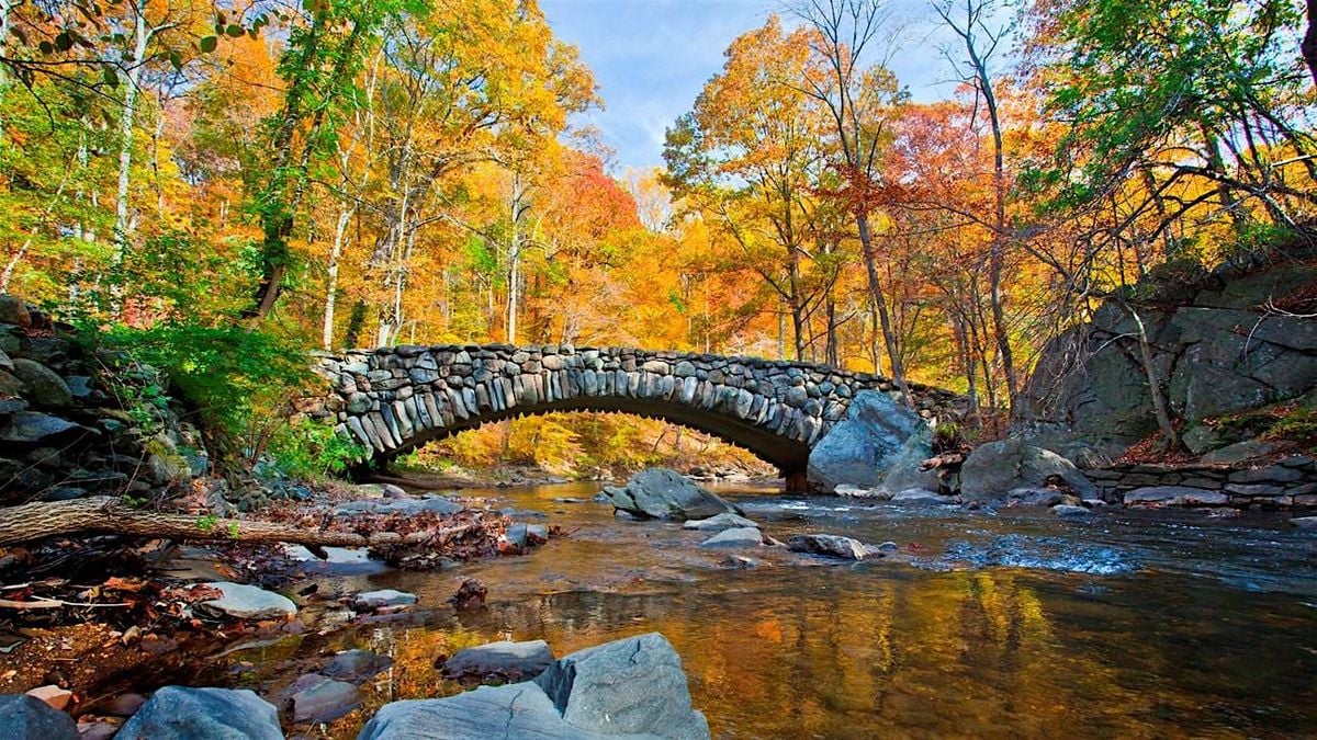 Foundry Rocks Foundry Rock Creek Park Hike, Reservation 630 Trail, Washington, 4 ...