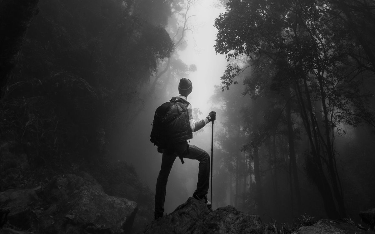 Tarrytown lakes and Rockefeller state parks Hike, 14 June | Event in New York | AllEvents