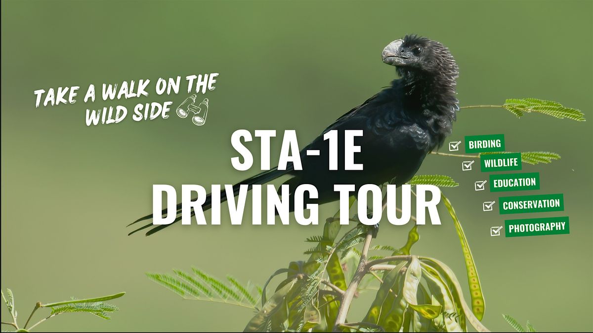 Guided Birding Driving Tour at STA-1E, 17 January | Event in Wellington | AllEvents
