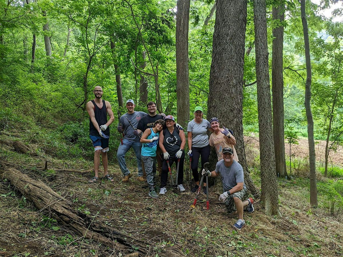 Volunteer Workday at Graham Nature Preserve, 9 August | Event in York | AllEvents