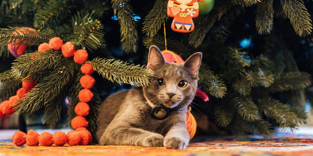 Ornament Decorating at The Red Lion Inn, 3 December | Event in Stockbridge | AllEvents